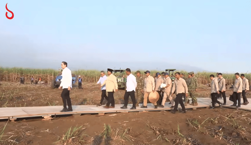 Prabowo Kejar Swasembada Gula, Pabrikan Wajib Punya Kebun Tebu