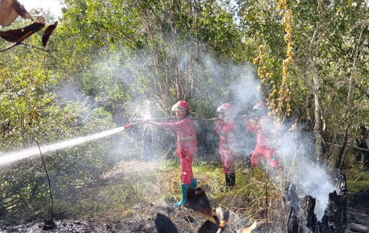 Petugas Manggala Agni saat memadamkan api di Desa Embacang Kecamatan Kelekar, Muara Enim.