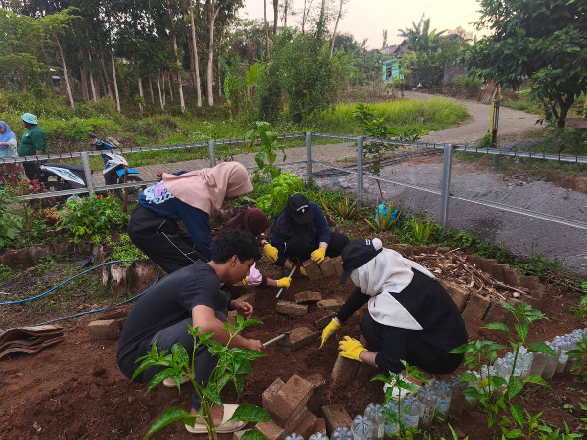 Relawan Internasional Belajar Pertanian Berkelanjutan di Semarang