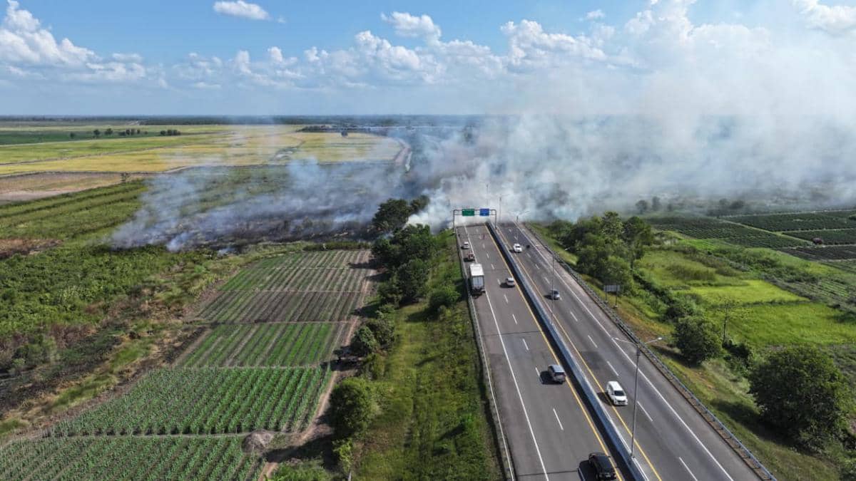 Asap Karhutla Masuk Tol Palindra, Tim Berjibaku Padamkan Api di 4 Kabupaten