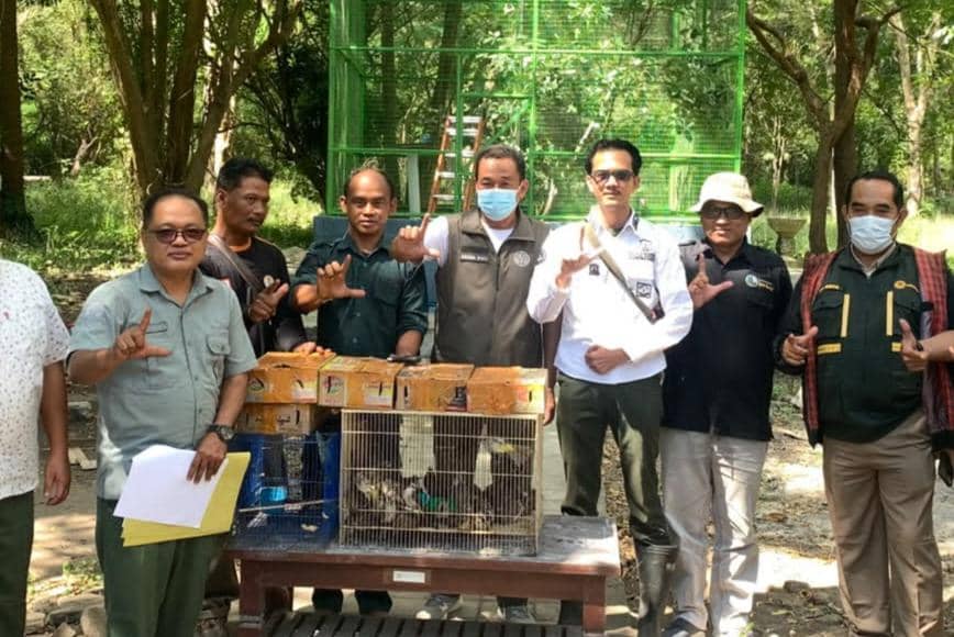 Pengiriman Burung dari Bali ke Jawa Harus Punya Dokumen Resmi
