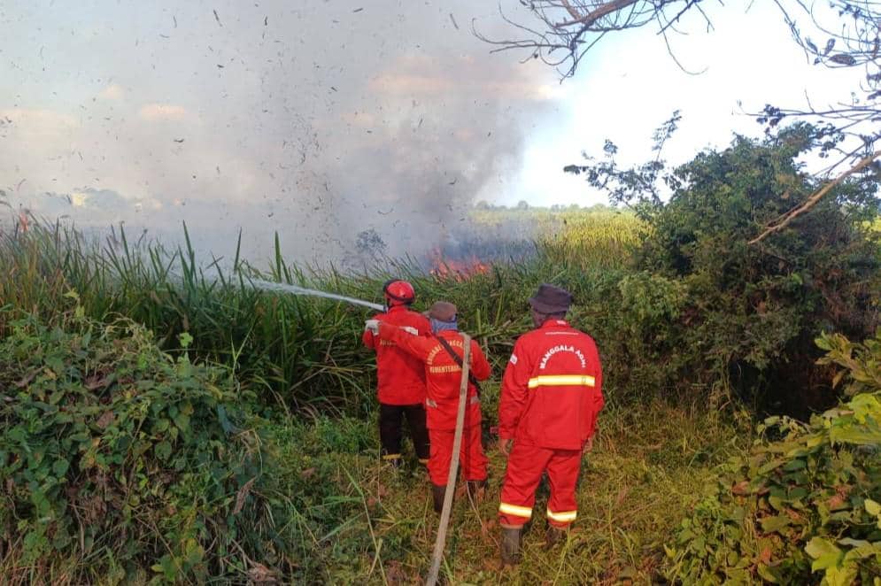 Petugas Manggala Agni saat memadamkan api di Pemulutan, Ogan Ilir.