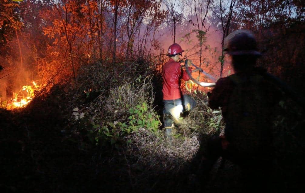 Tim BPBD dan Manggala Agni saat melakukan pemadaman lahan yang terbakar.