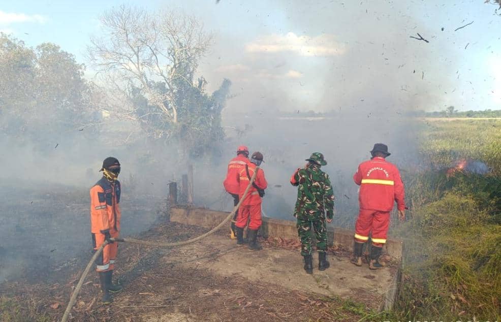 Kebakaran Hutan dan Lahan di Sumsel Capai 664,87 Hektare