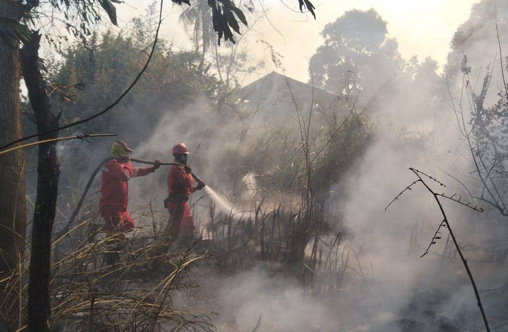 Tim BPBD dan Manggala Agni saat melakukan pemadaman lahan yang terbakar.