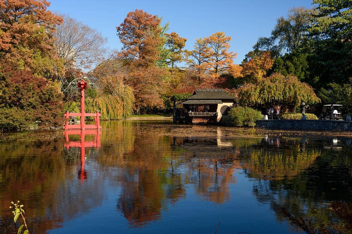Brooklyn Botanic Garden