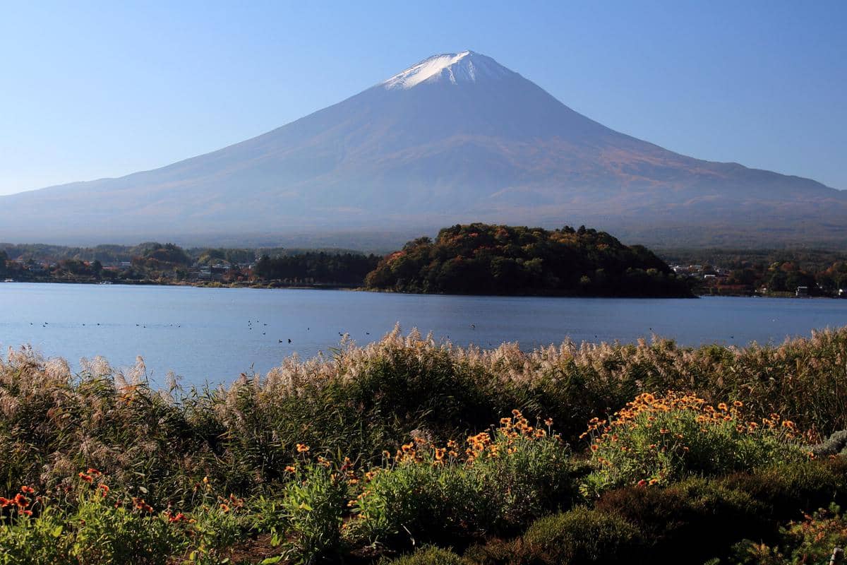 Viewpoint Gunung Fuji via Oishi Park