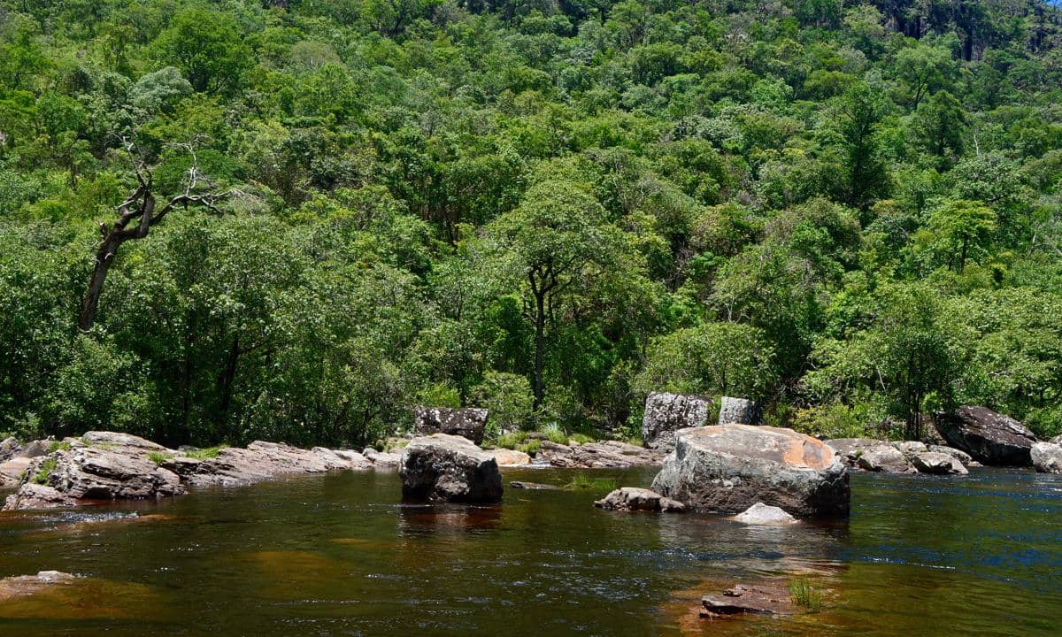 mata air di Cerrado memasok banyak sungai besar di Brasil