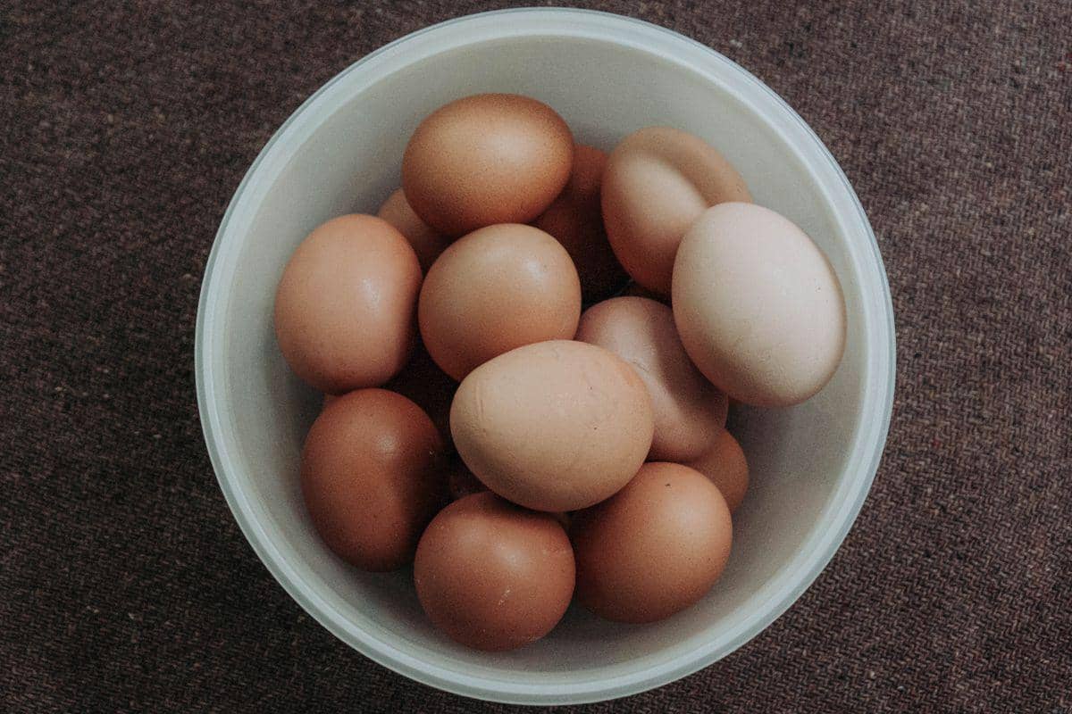 Wabah Salmonella di AS, Jutaan Lusin Telur Kini Ditarik Massal