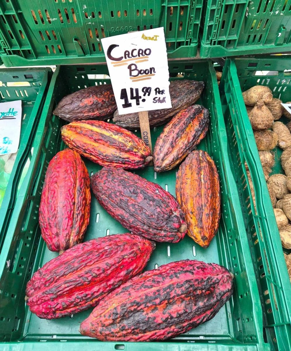 Beberapa buah kakao berwarna merah dan cokelat tua tersusun di kotak hijau di pasar dengan label harga 14.99 per buah.