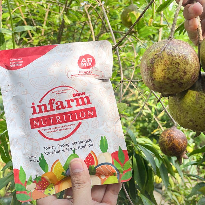 Berkebun di Rumah untuk Hidup Berkelanjutan, Begini Solusi Lengkapnya