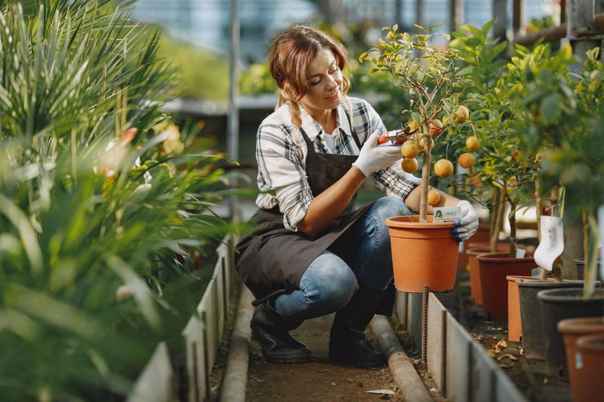 Berkebun di Rumah, Tren Sehat yang Bikin Kamu Lebih Mandiri?