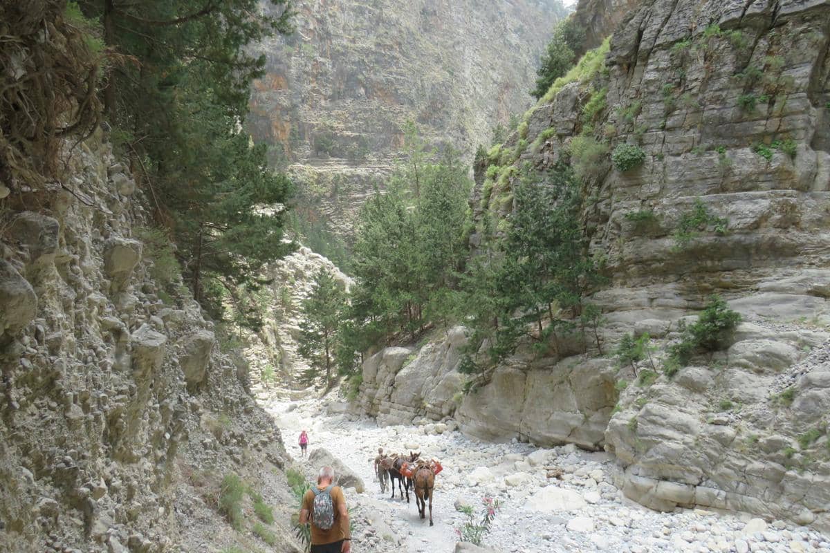 ilustrasi Samaria Gorge