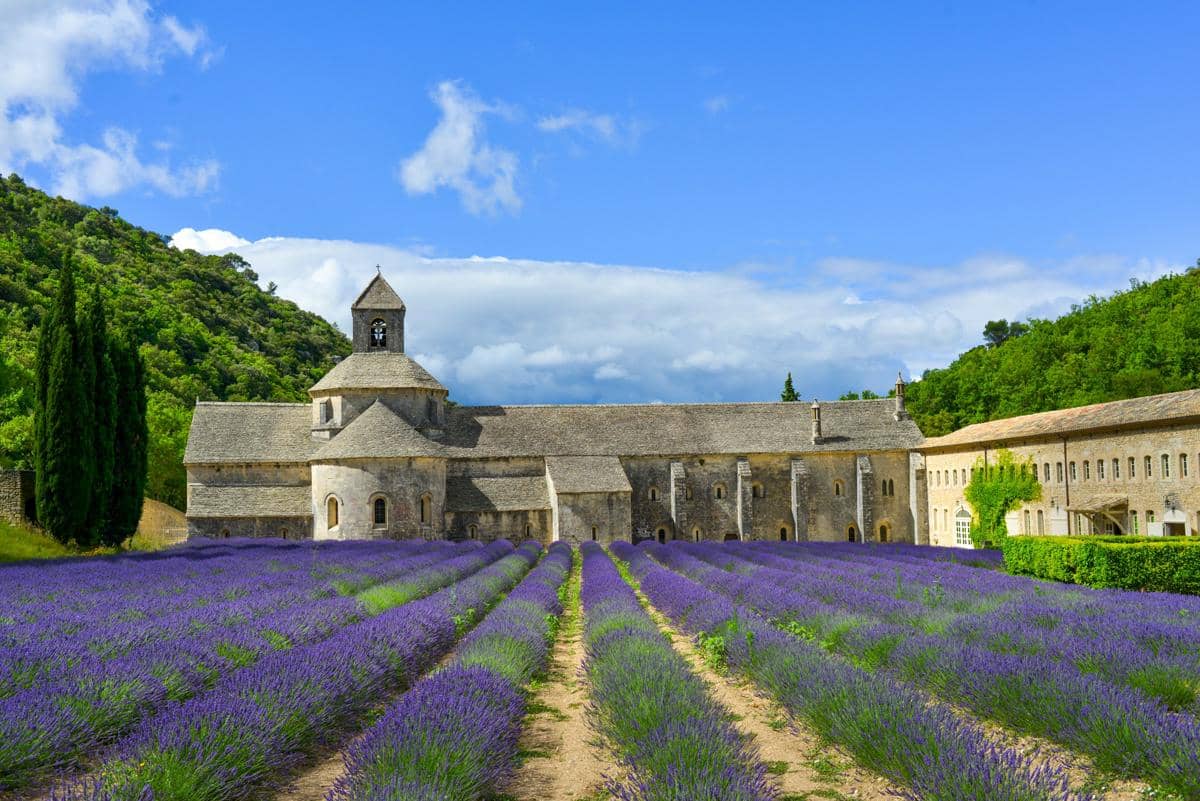 Musim panas di Provence, Prancis