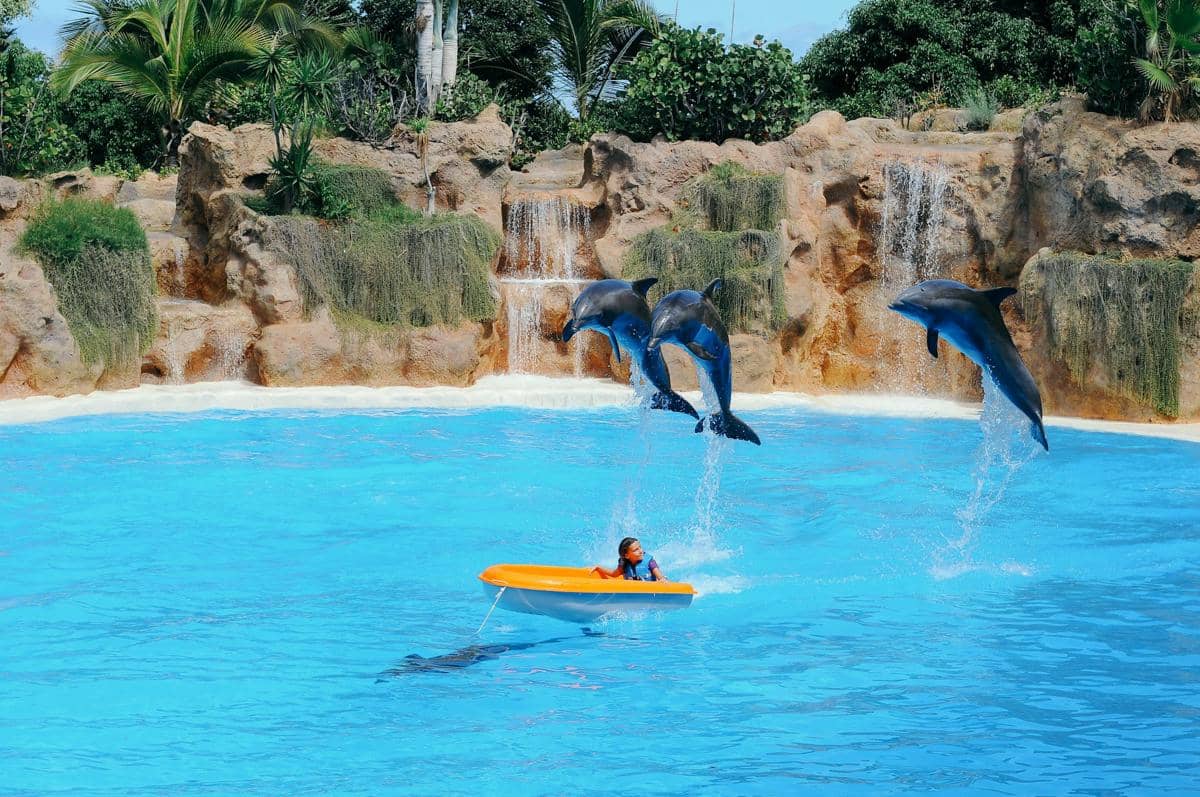 5 Destinasi Wisata Menarik di Tenerife Spanyol, Pulau Asal Pedri Gonzalez