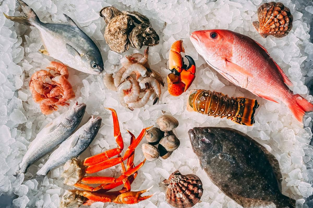 ilustrasi seafood