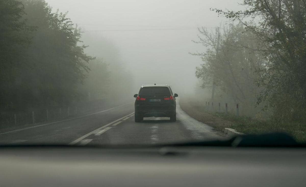 ilustrasi mengemudi mobil saat kabut