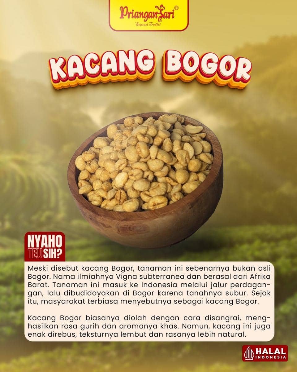 Kacang Bogor