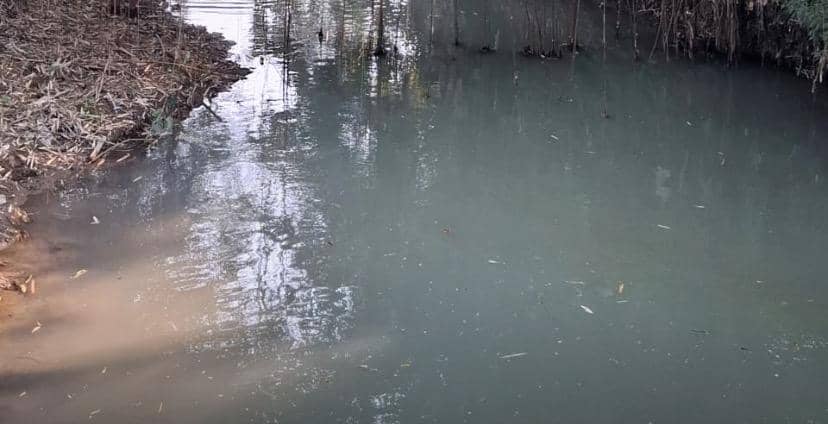 Sungai di Sukabumi Diduga Tercemar Limbah Tambang Batu Hijau
