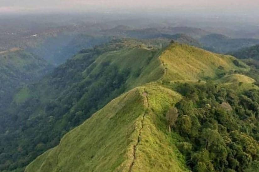 Usai Kebakaran, Pendakian Bukit Cendono Mojokerto Dibuka Lagi Besok!
