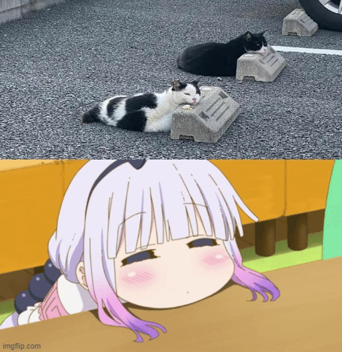 meme anime tentang sifat malas