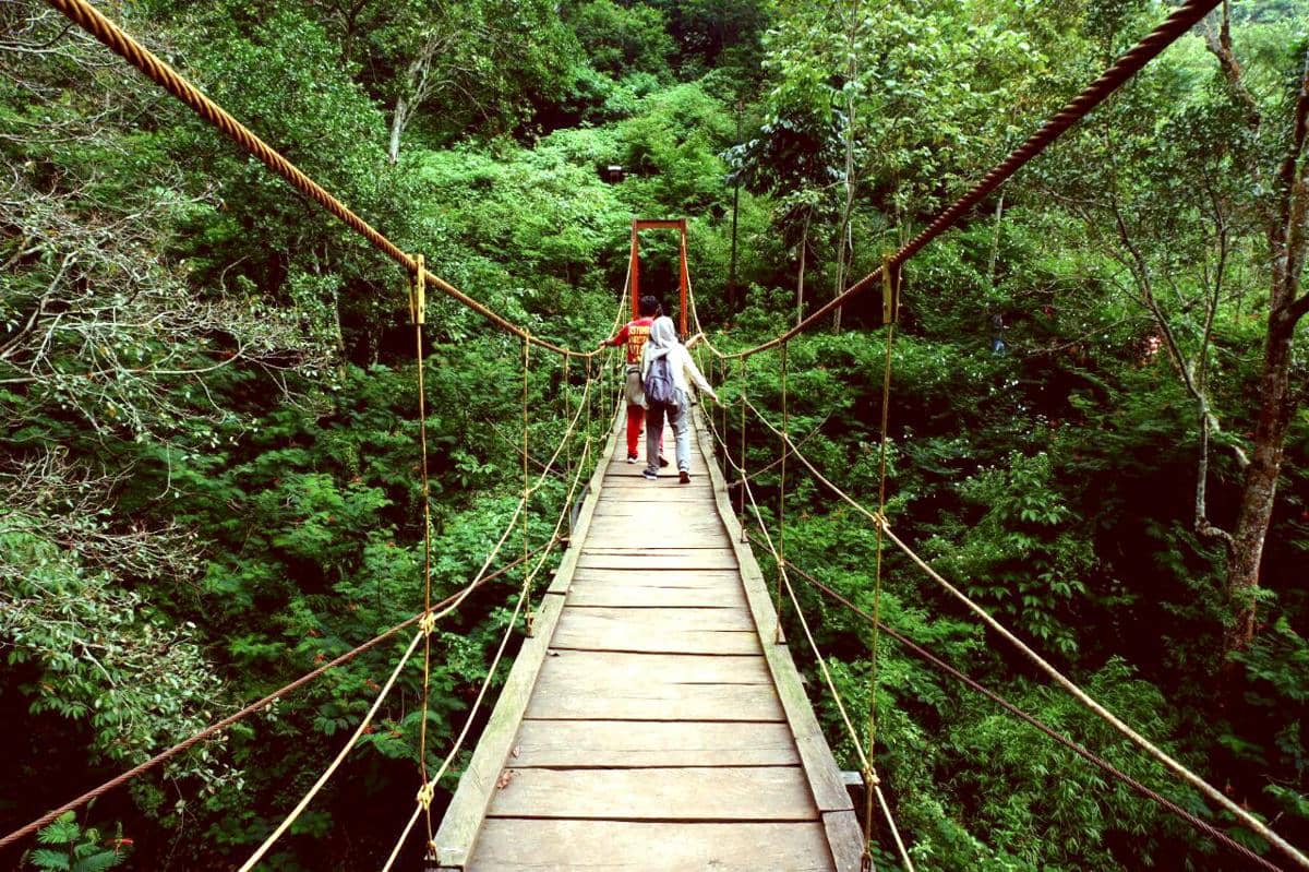 Taman Hutan Raya IR Djuanda, Bandung