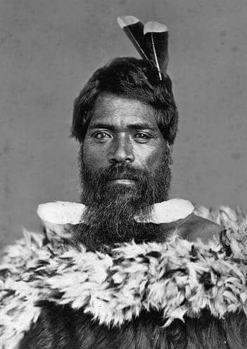 bulu ekor Huia dijadikan sebagai hiasan rambut oleh suku Māori