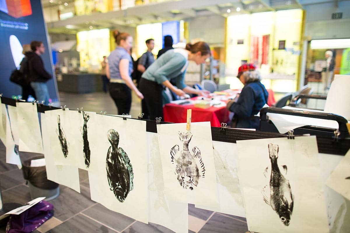 ilustrasi teknik gyotaku