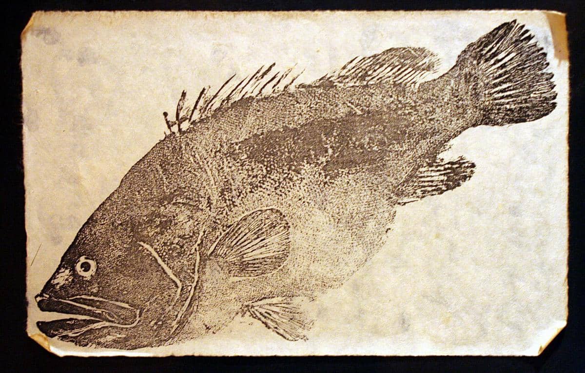 5 Fakta Unik Gyotaku, Seni Nelayan Jepang dalam Potret Ikan