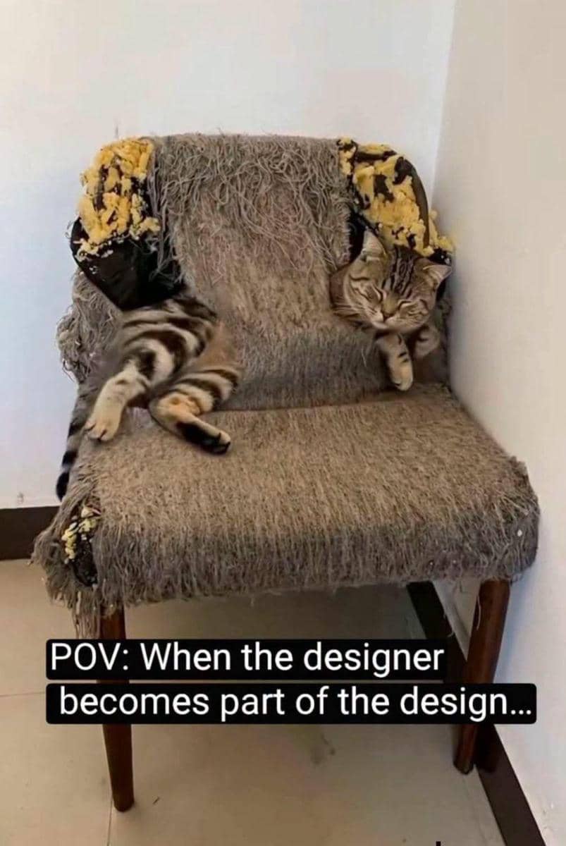 meme kucing dan furnitur