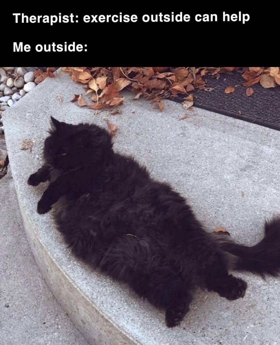 meme kucing di luar rumah