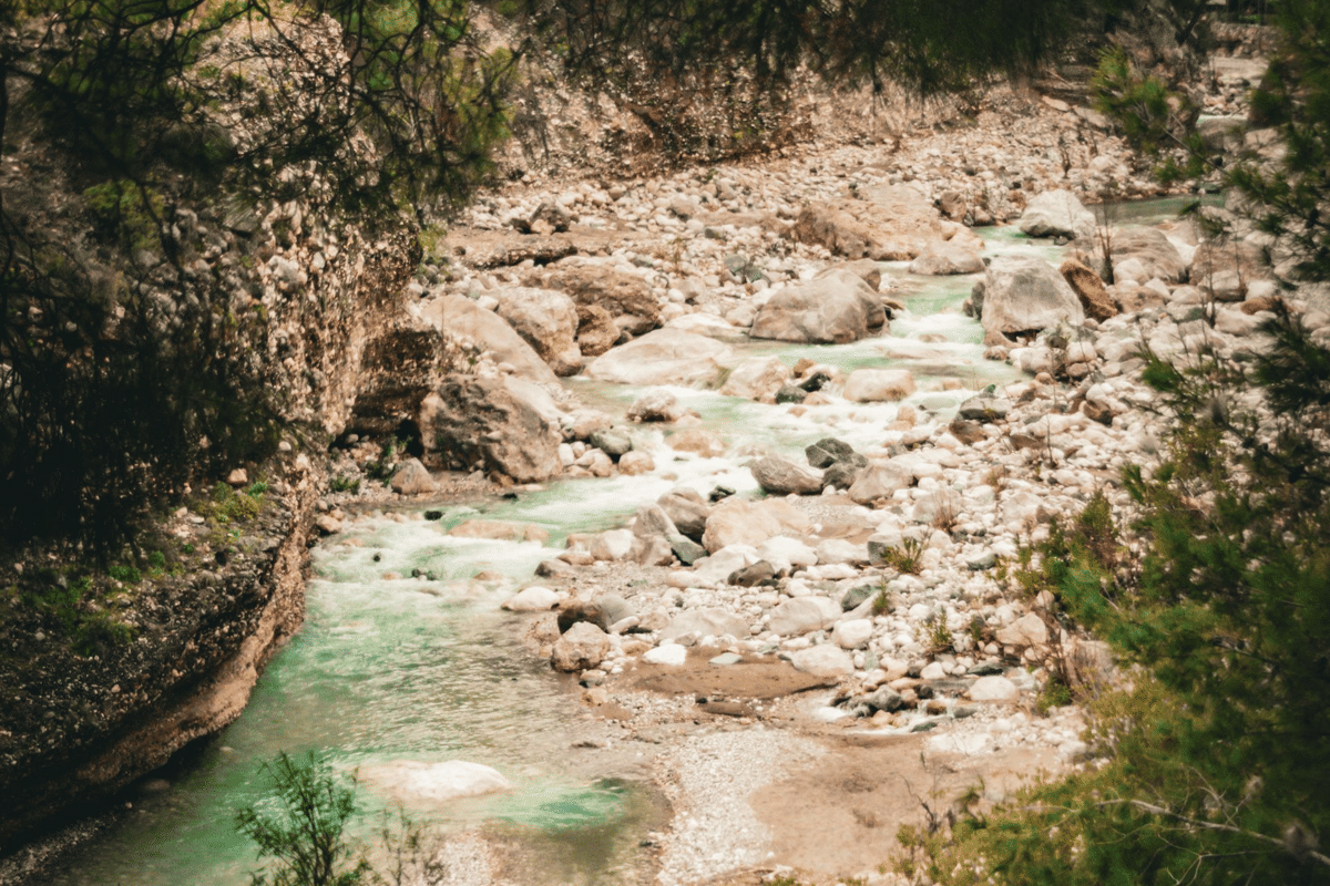 ilustrasi sungai
