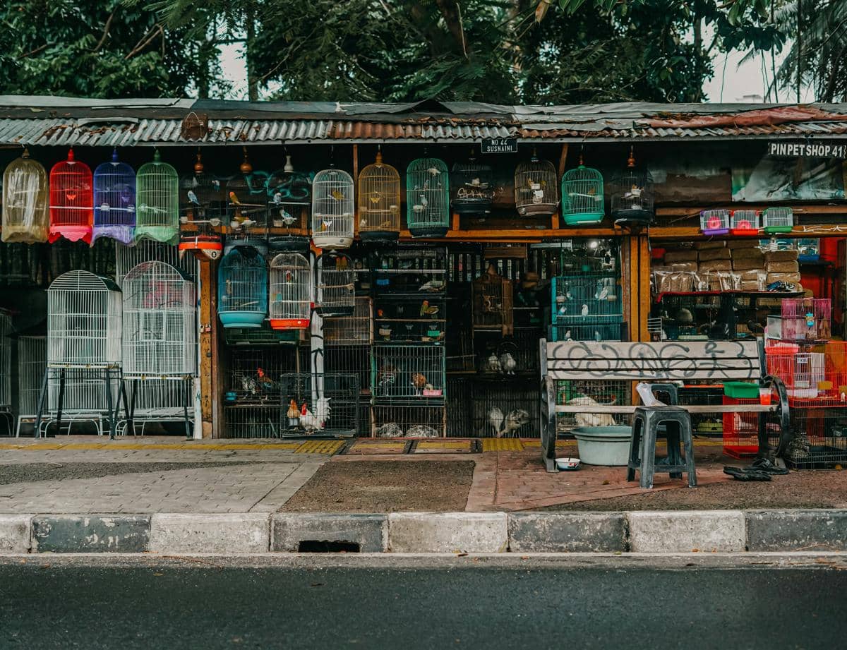 5 Ide Usaha Modal Rp10 Juta, Cocok untuk Pemula