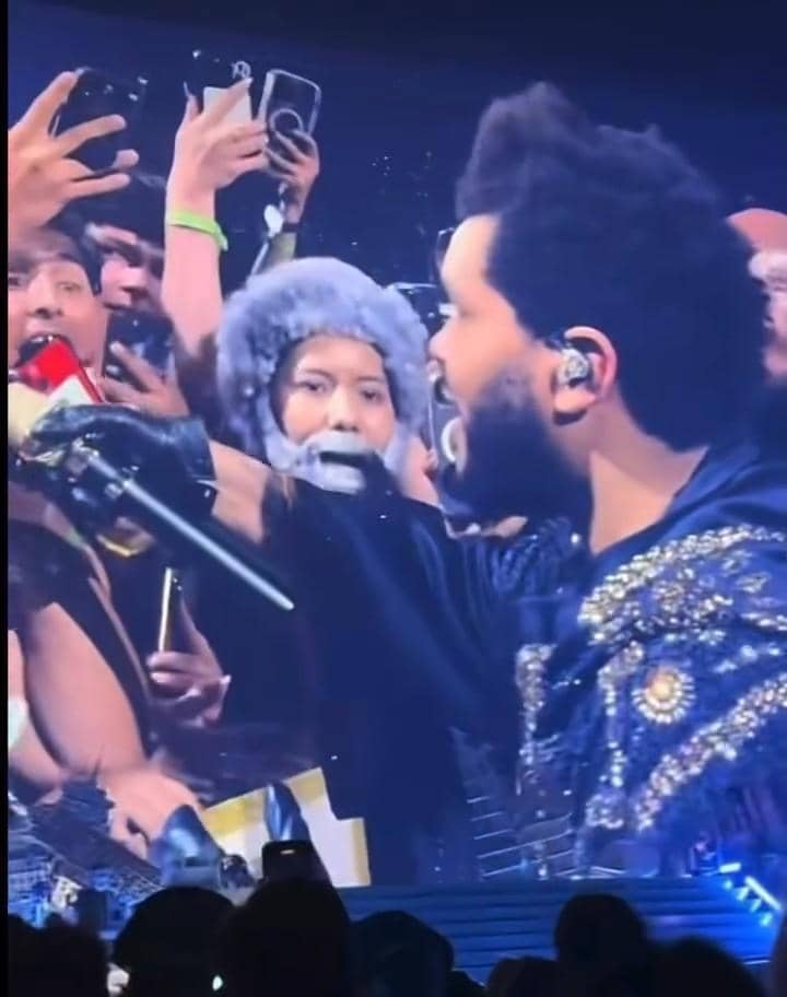 Seorang penonton mengenakan wig abu-abu dan janggut palsu saat penyanyi tampil di atas panggung konser dengan penonton yang mengabadikan momen.