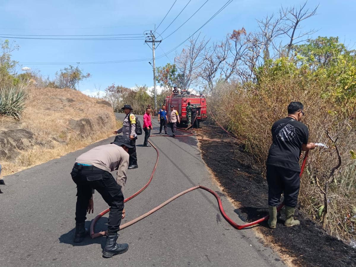 Lahan Warga di Buleleng Terbakar Imbas Kemarau, Tak Ada Korban Jiwa