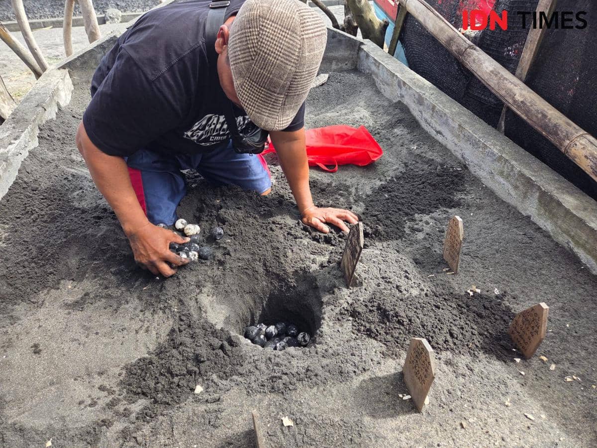 Telur penyu yang menetas di konservasi penyu Pantai Yeh Gangga, Tabanan 