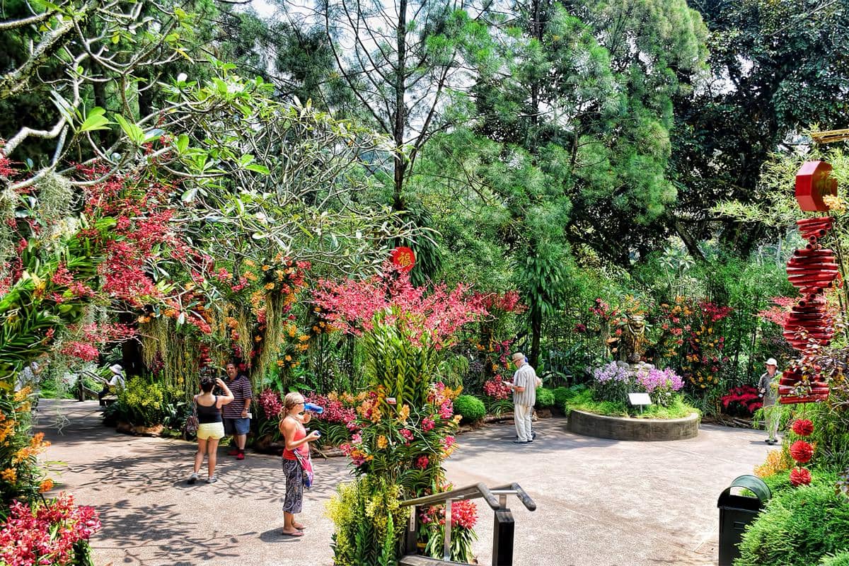 area National Orchid Garden