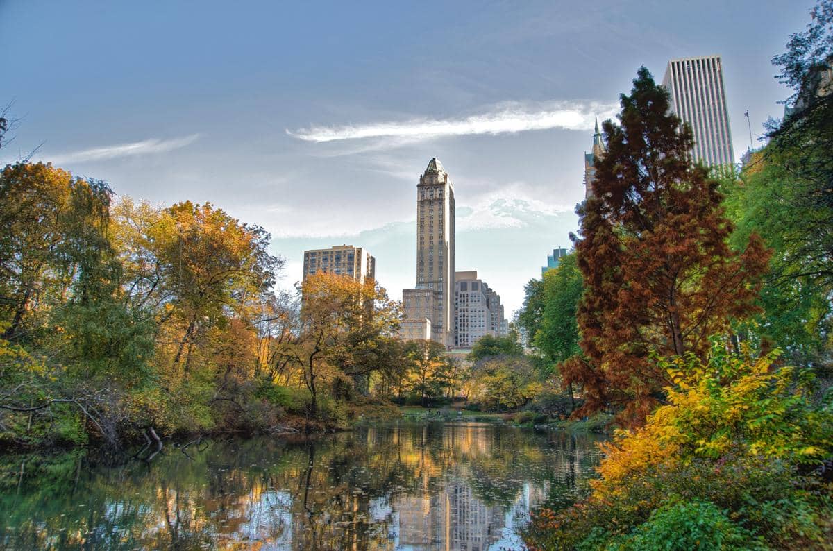 5 Fakta Central Park New York, Oase Hijau di Tengah Manhattan