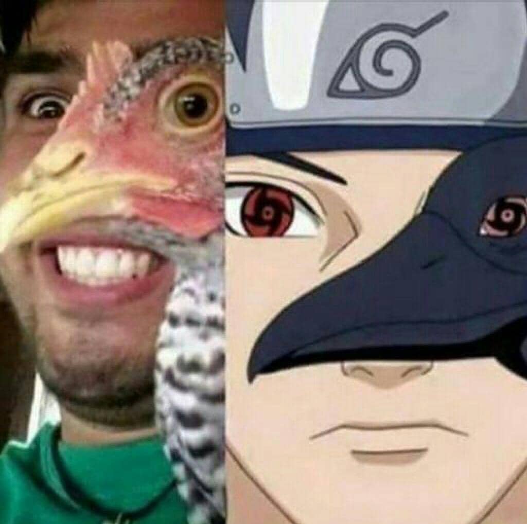 meme anime tentang cosplay