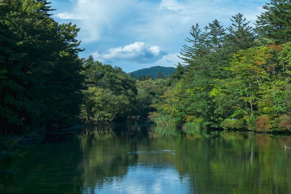 ilustrasi musim panas di Karuizawa, Jepang