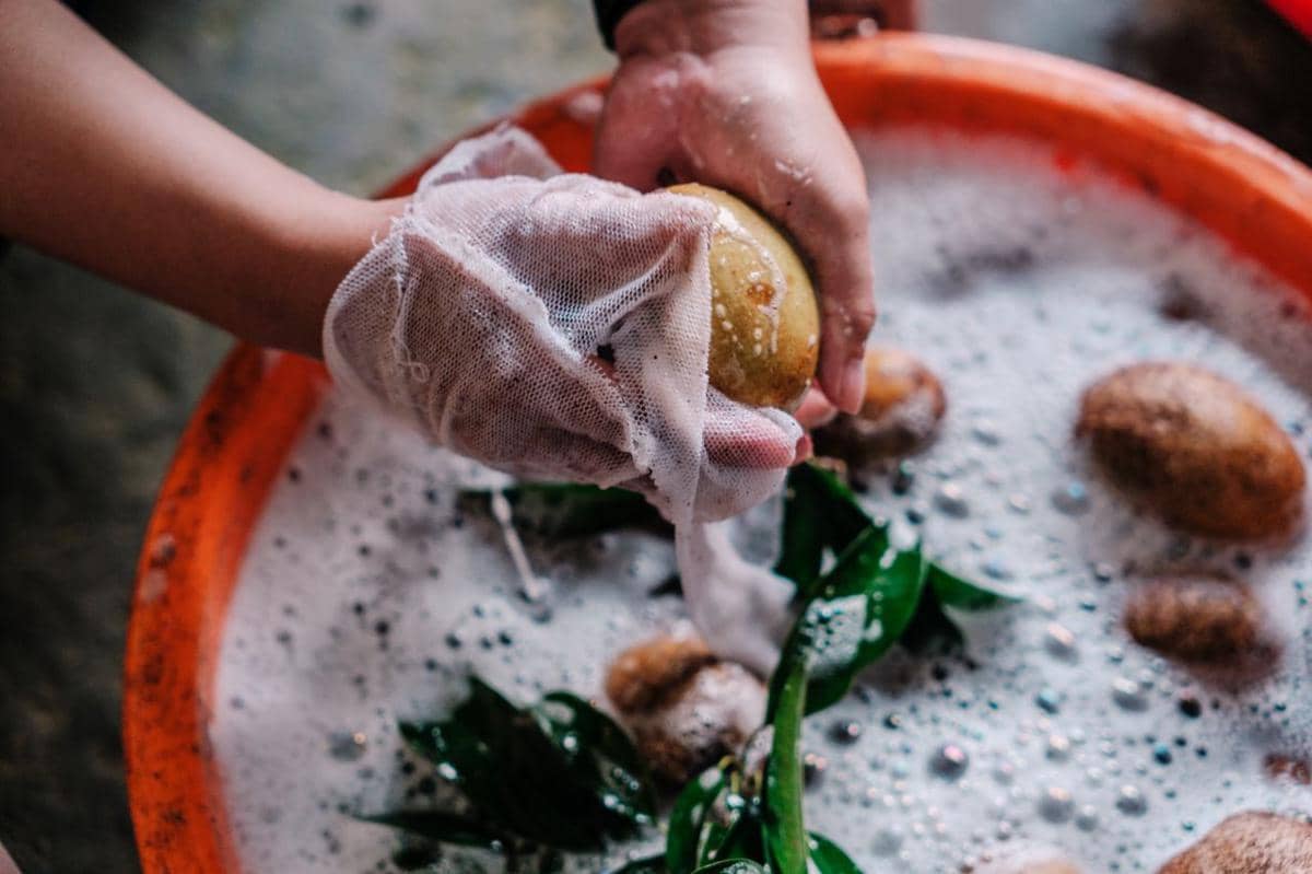 ilustrasi washing produce, sabun pencuci buah dan sayur, cairan pencuci buah dan sayur