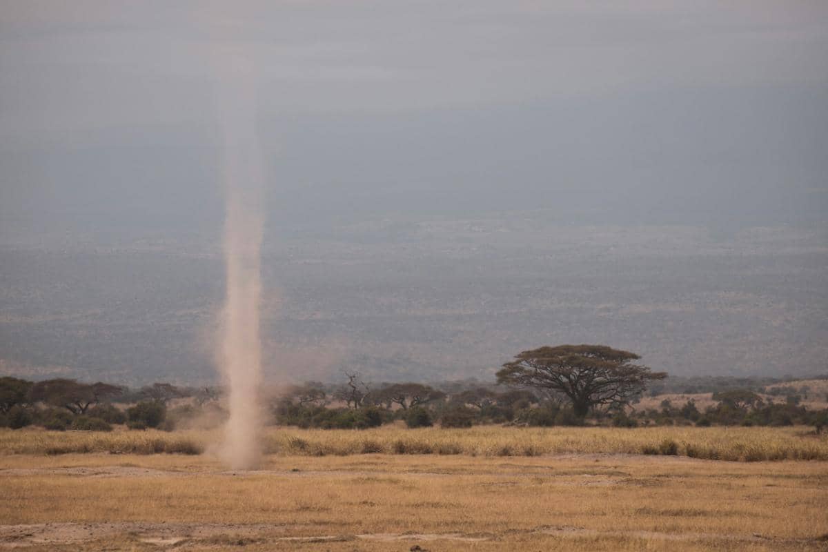 ilustrasi dust devil (unsplash.com/MARIOLA GROBELSKA)