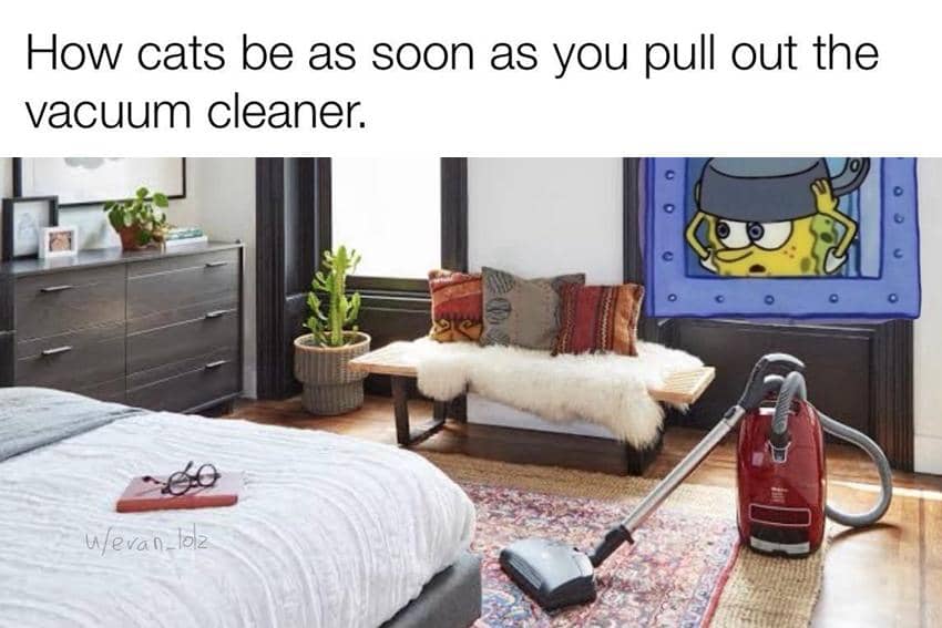 8 Meme SpongeBob tentang Tekanan Batin, Bikin Takut!