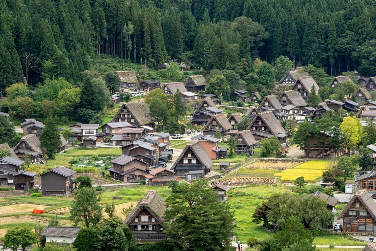 ilustrasi musim panas di Shirakawa-go, Jepang