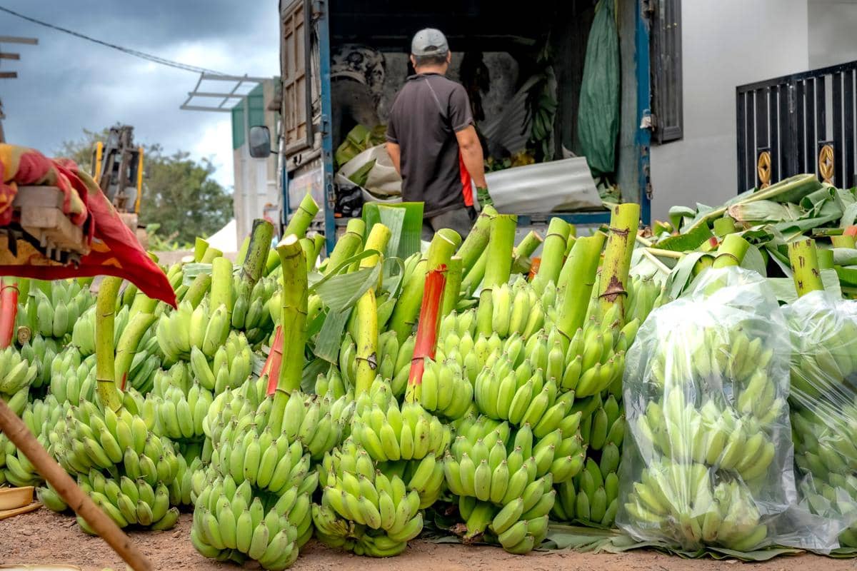 ilustrasi pengiriman buah pisang