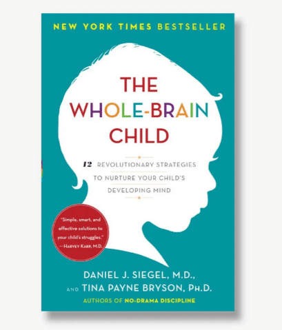 Ilustrasi buku The Whole-Brain Child