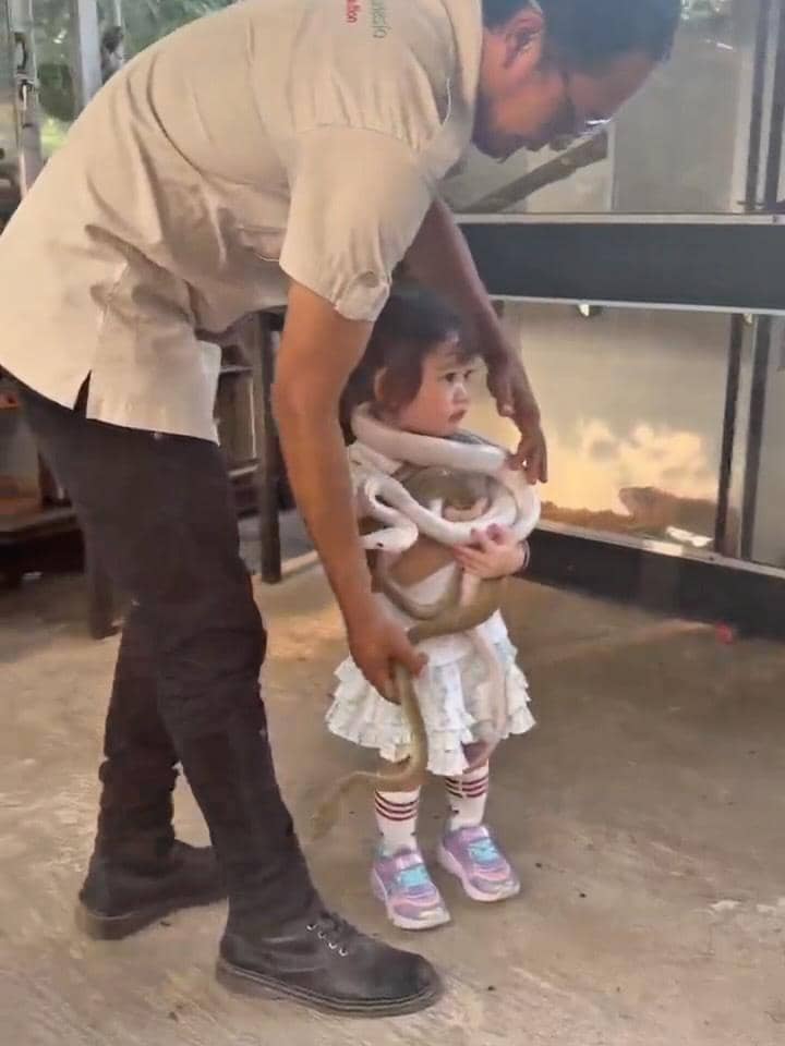 Gabriella Anak Denny Sumargo main bareng ular