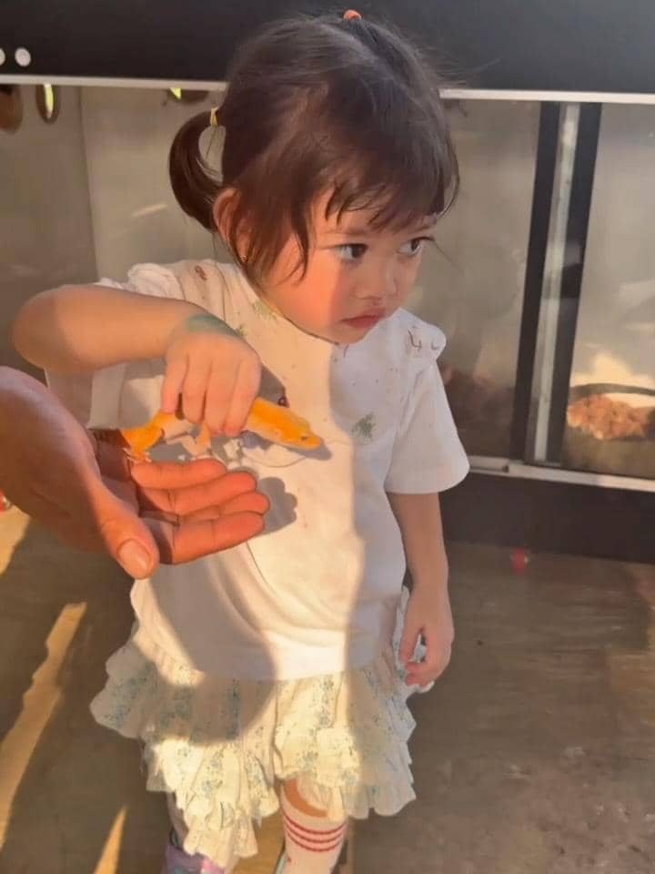 Gabriella Anak Denny Sumargo main bareng ular