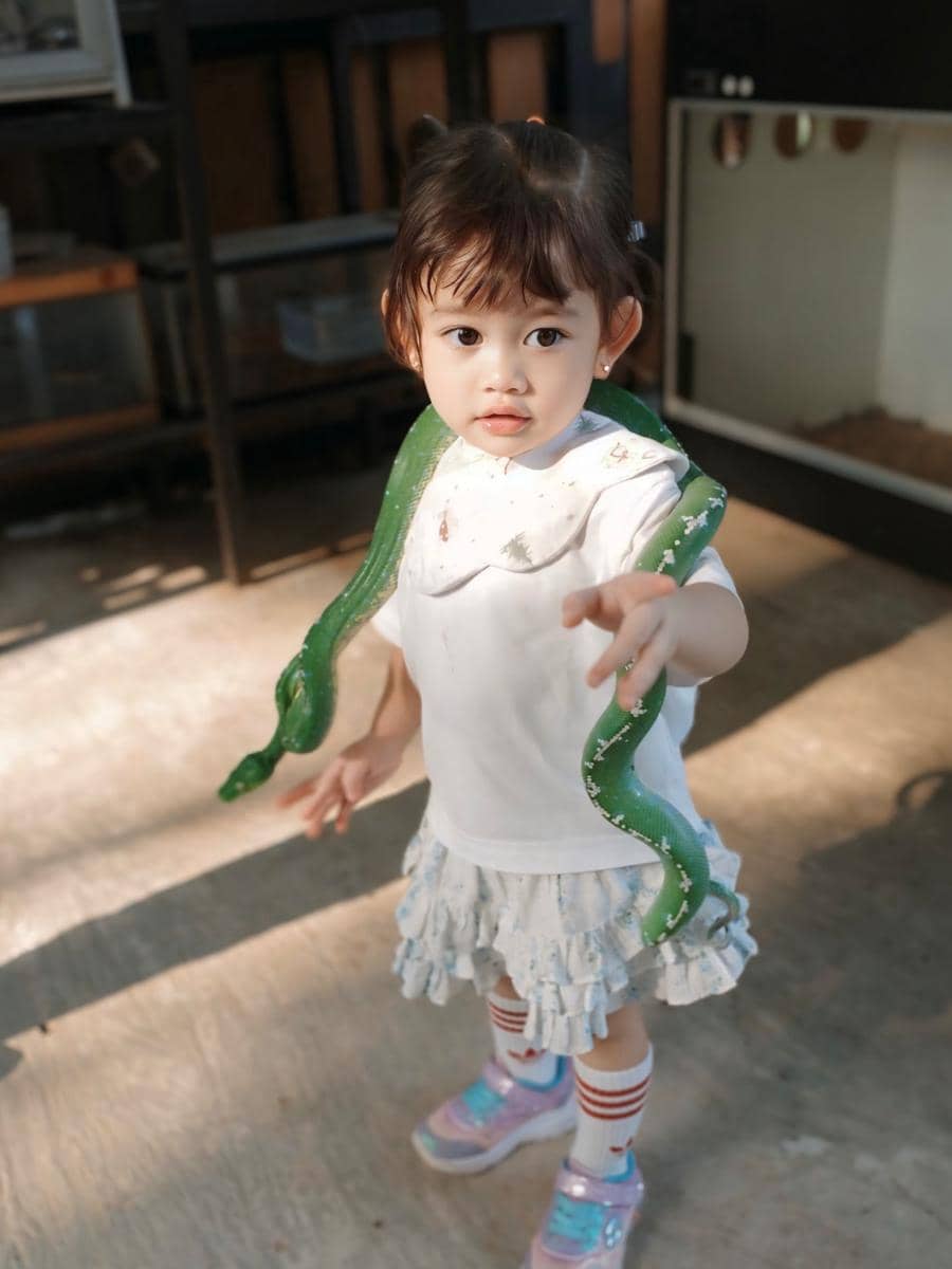 Gabriella Anak Denny Sumargo main bareng ular