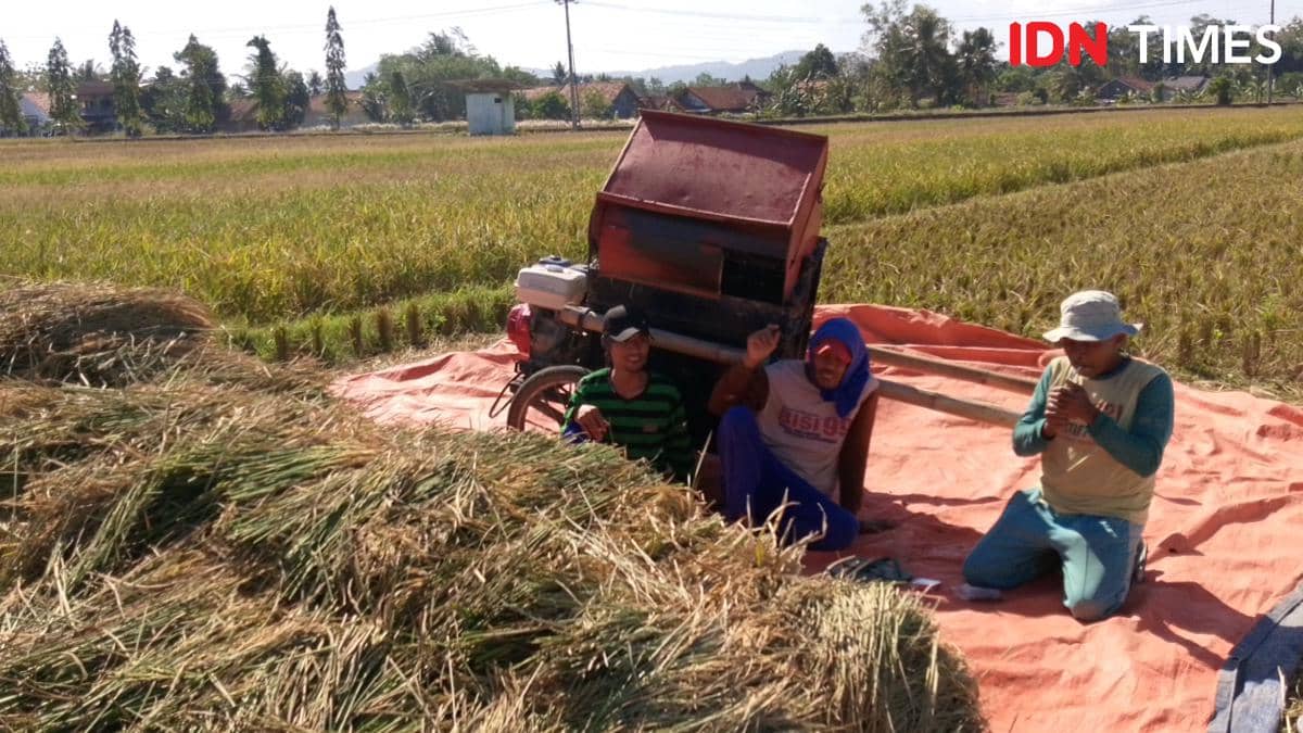 Tiga petani duduk di sawah Banyumas dengan mesin perontok padi di belakang mereka dan tumpukan jerami di atas terpal oranye.